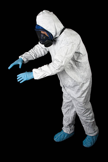 Best Mold Prevention Services  in Ogden, NC